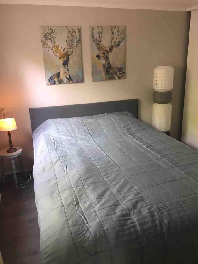 Vogelzang Villa Hattemerbroek Kültér fotó