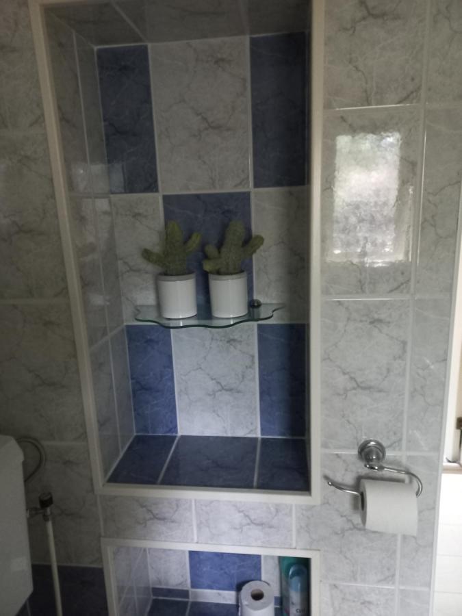 Vogelzang Villa Hattemerbroek Kültér fotó
