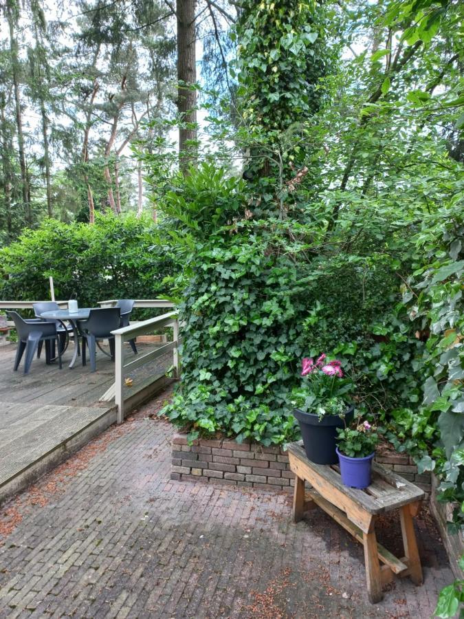 Vogelzang Villa Hattemerbroek Kültér fotó