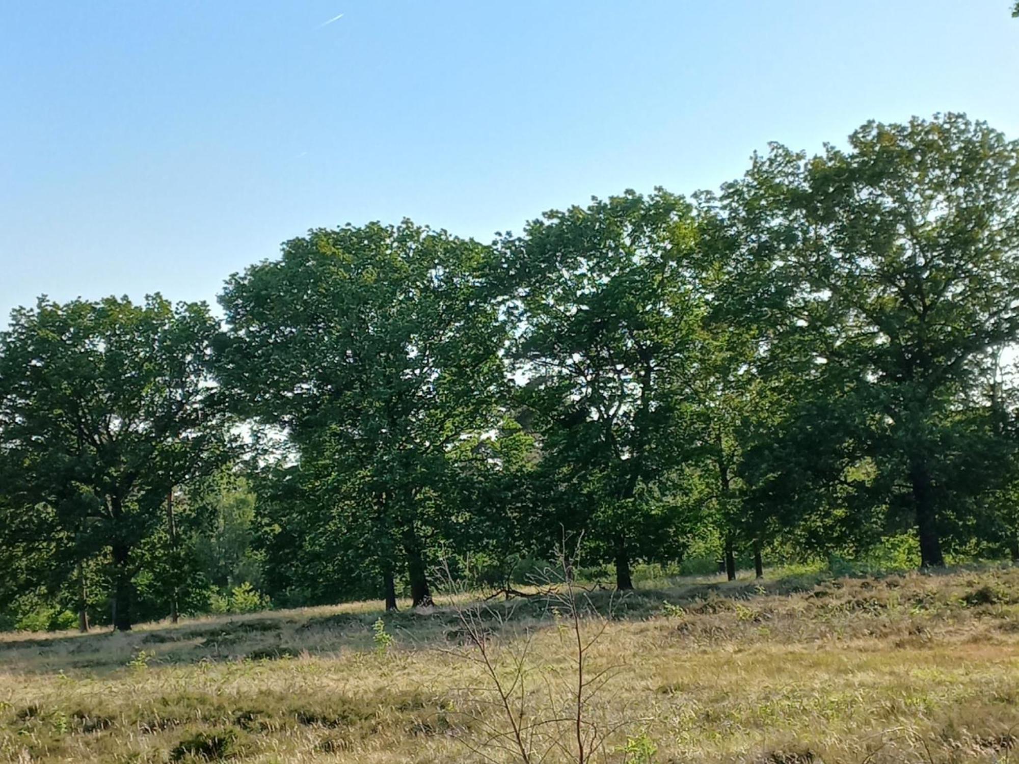 Vogelzang Villa Hattemerbroek Szoba fotó